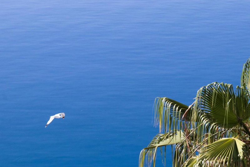 Grand Bleu Apartments & Villas, Ermioni, Greece