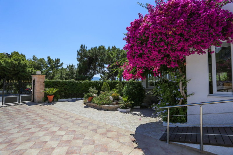Danae Hotel, Aegina Town, Grèce
