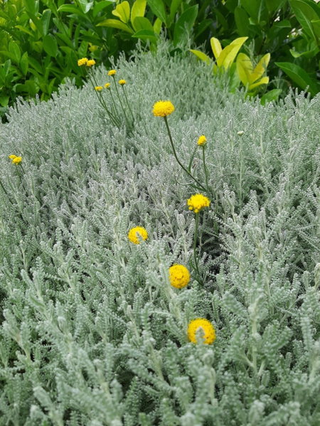 Gmare, Gerakini, Grecia