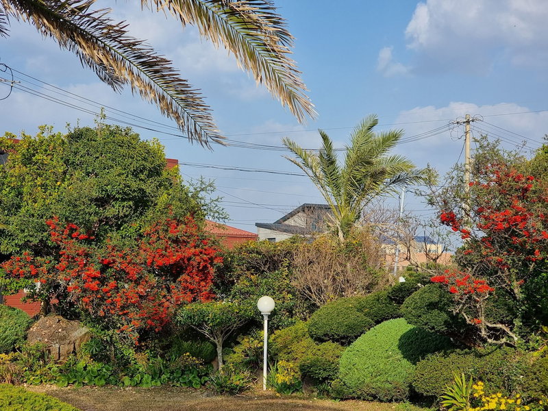 Jeju Again Olle pension, Jeju City, 대한민국