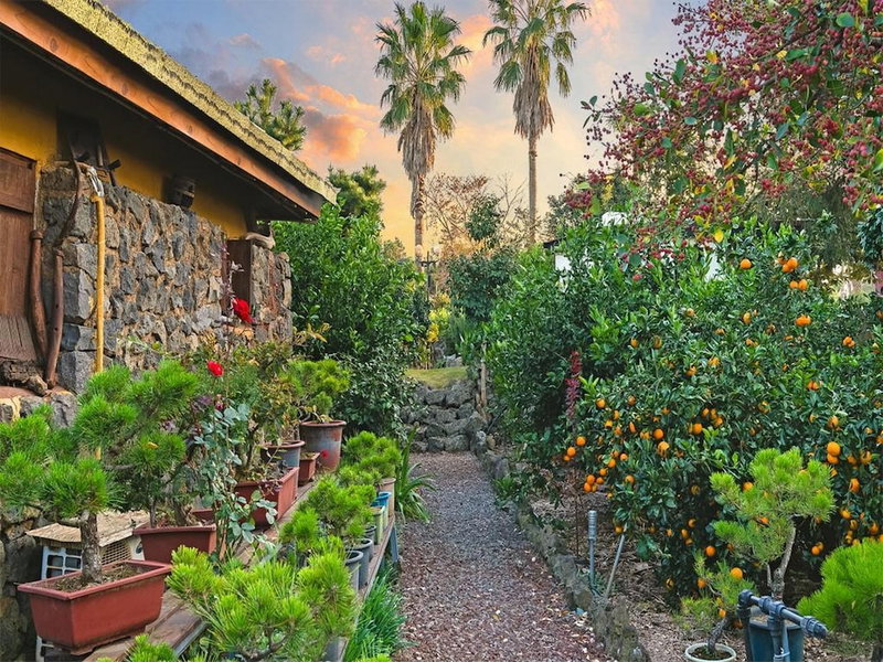 Diorem Pension, Jeju City, 대한민국