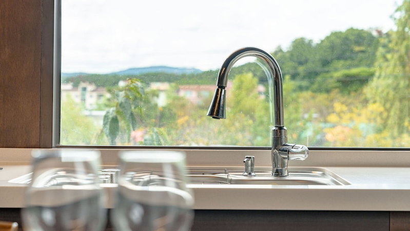 Gyeongju Planb pet Pension, Gyeongju, 대한민국