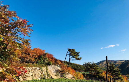 Byeoldeul-ui Gichim Pension, Inje, South Korea