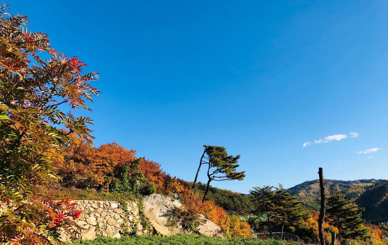 Byeoldeul-ui Gichim Pension, Inje, South Korea