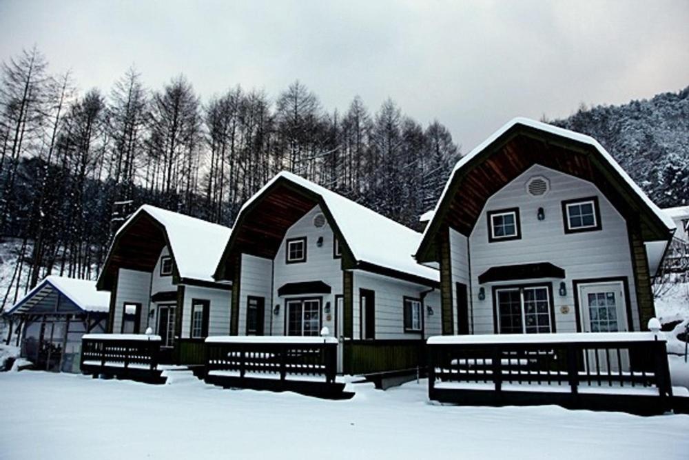Pyeongchang Jayeonel Dalmeunjip, 대한민국
