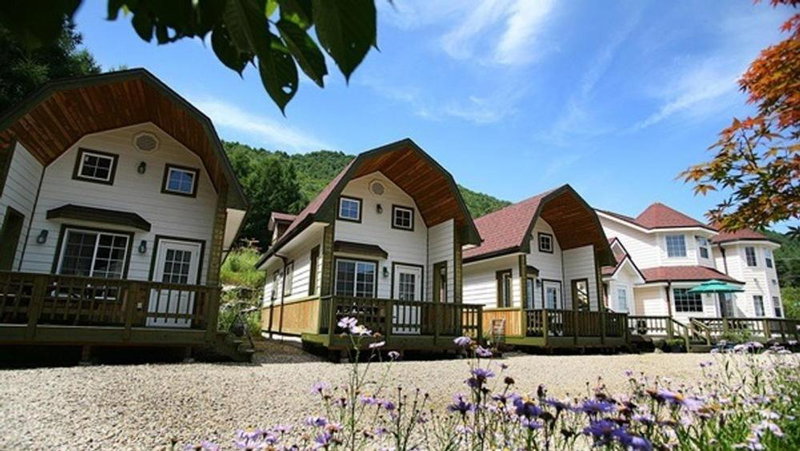 Pyeongchang Jayeonel Dalmeunjip, Pyeongchang, 대한민국