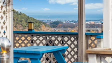 Yangyang Monti Pet Spa Pension, Yangyang, 대한민국