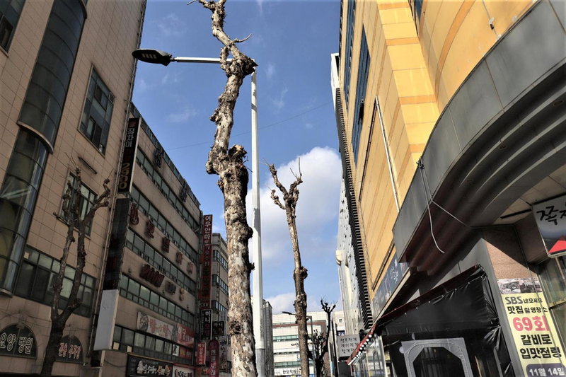 Hani Motel, Daejeon, Corea del Sur