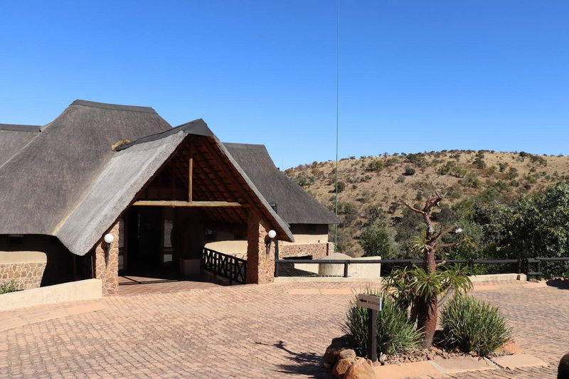 Schrikkloof Private Nature Reserve, home of The Lions Foundation, Warmbaths, South Africa