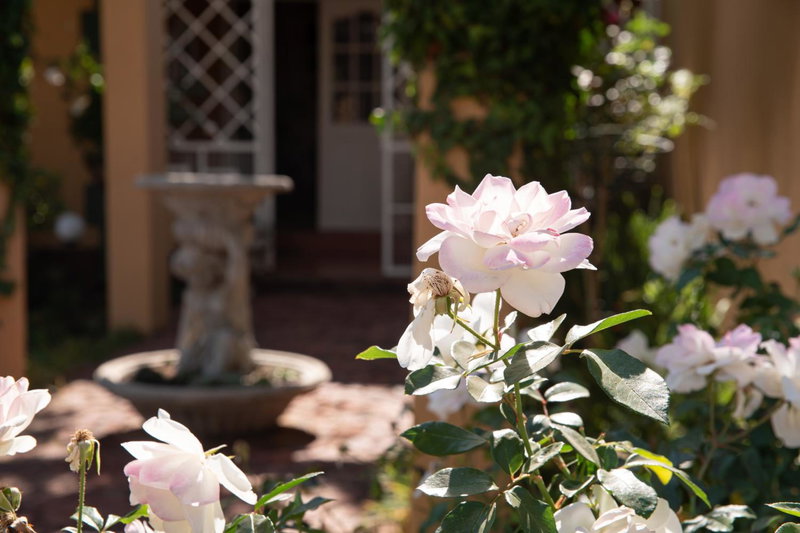 Roses and Pebbles B & B Guest House, Klerksdorp, South Africa