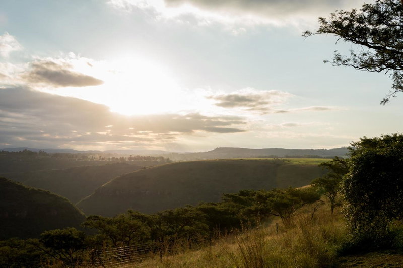 Hilton Bush Lodge & Function Venue, Hilton, South Africa
