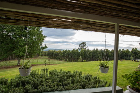Miracle Mountain Farm Cottages, Howick, South Africa
