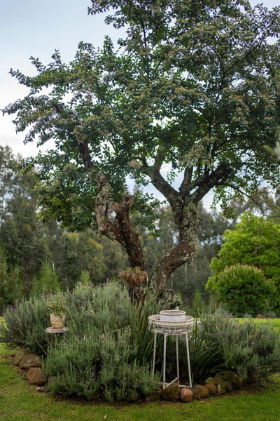 Miracle Mountain Farm Cottages, Howick, South Africa