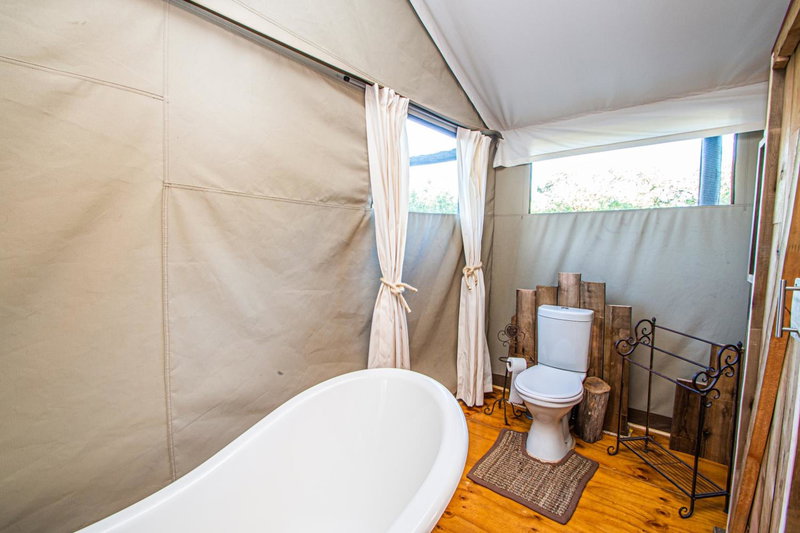 Mountain View Safari Lodge, Hoedspruit, South Africa