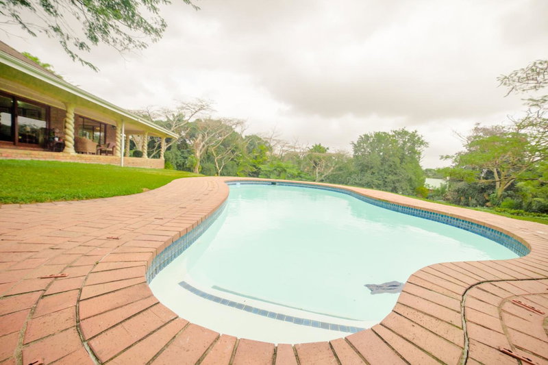 Birds of Paradise B&B, Eshowe, South Africa