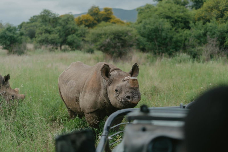 Madwaleni River Lodge - Babanango Game Reserve, Ulundi, South Africa