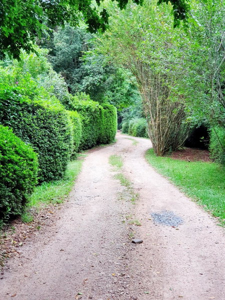 Hilton Garden Studio, Hilton, South Africa