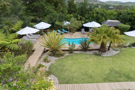 Armadillo Studios, Knysna, South Africa