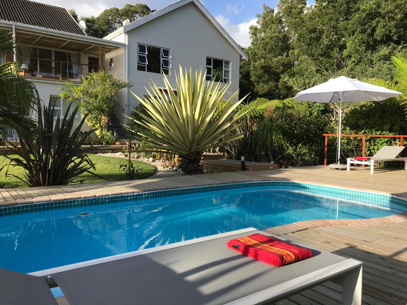 Armadillo Studios, Knysna, South Africa