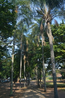 Essenwood Park Hotel, Durban, Sudáfrica