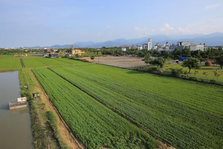 Green Resort, Wujie, Taiwan
