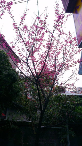 King Town Hotel, Luodong, Taiwan
