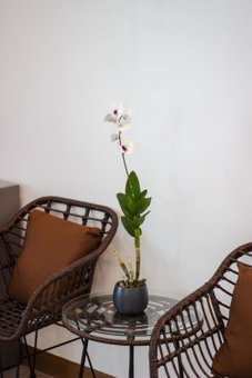 Coast Wise Hotel Dumaguete, Dumaguete, Филиппины