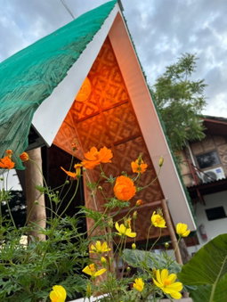 Villa Lovi Panagsama Beach Moalboal, Moalboal, Philippines