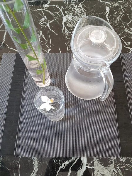 B&S Orchids suites hotel, Dipolog, Philippines