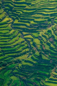 BATAD CRISTINA'S Main Village INN & Restaurant, Banaue, Philippines
