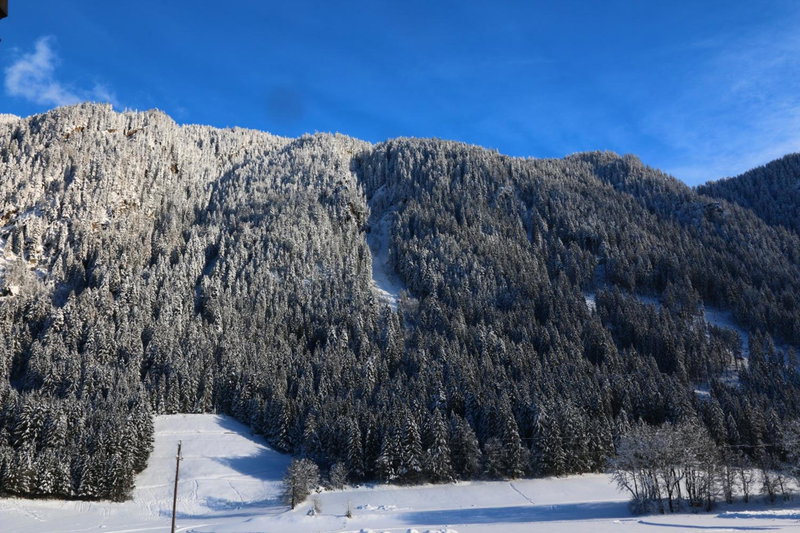 Apart-Garni Alpevita, Mayrhofen, Austria