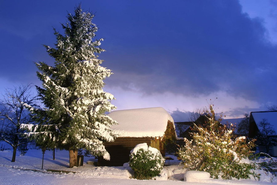 Gasthof Neuwirt, Eugendorf, Autriche