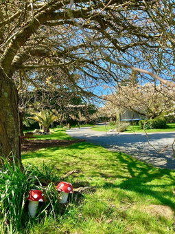 Newlands B&B, West Melton, New Zealand