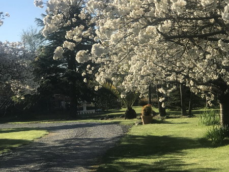 Newlands B&B, West Melton, New Zealand