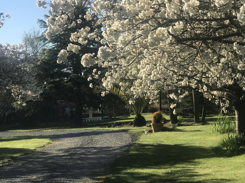 Newlands B&B, West Melton, New Zealand