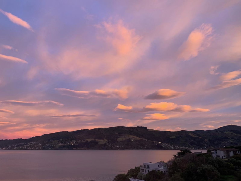 Otago Peninsula Paradise, Dunedin, New Zealand