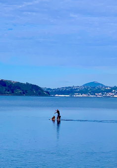 Otago Peninsula Paradise, Dunedin, New Zealand