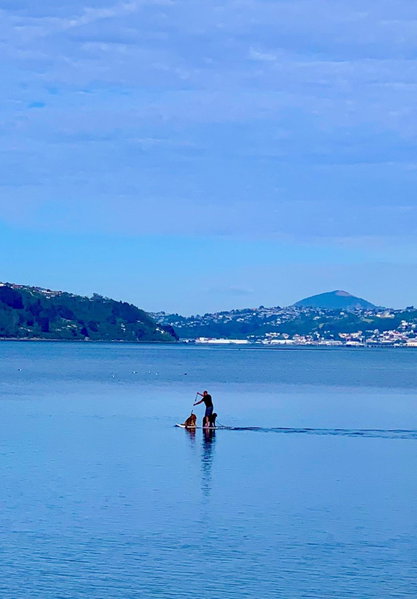 Otago Peninsula Paradise, Dunedin, New Zealand
