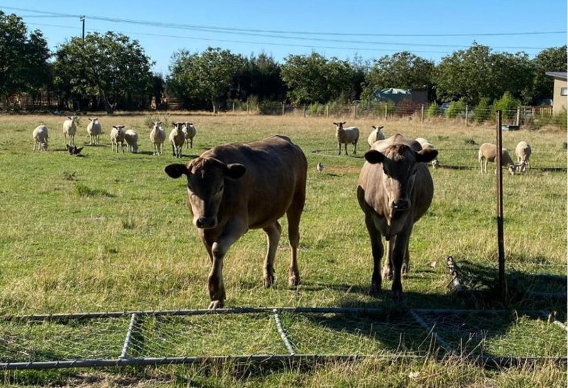 Country Retreats on Ranzau 8, Hope, New Zealand