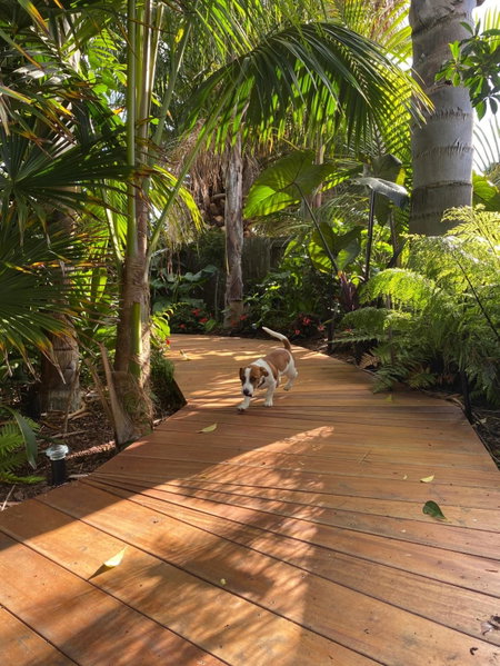 Palm Garden Papamoa Beach Paradise, Papamoa, New Zealand