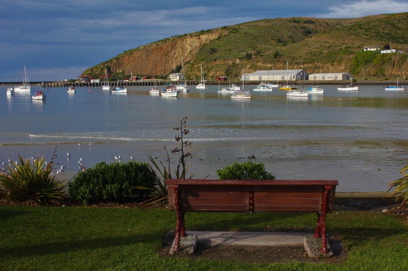 Cosy On Till, Oamaru, New Zealand