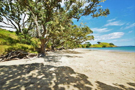 BeachBox Boutique Accommodation, Coopers Beach, New Zealand