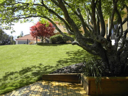 Abelia Motor Lodge, Nelson, New Zealand