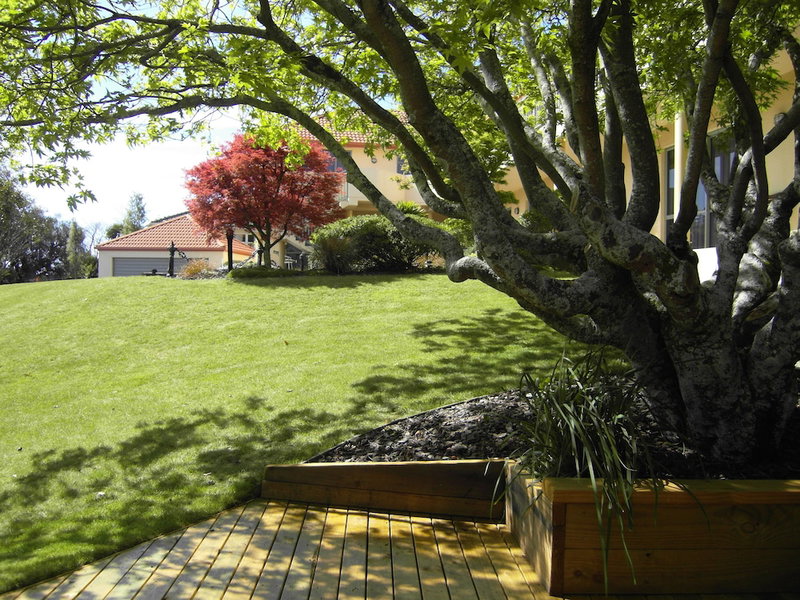 Abelia Motor Lodge, Nelson, New Zealand