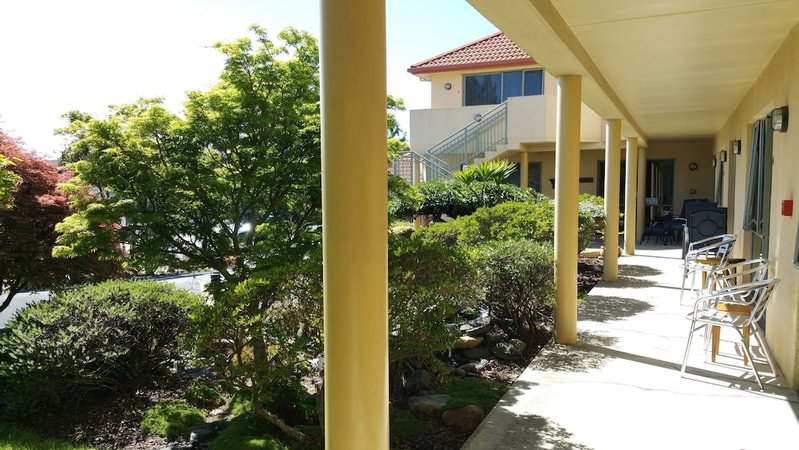 Abelia Motor Lodge, Nelson, New Zealand