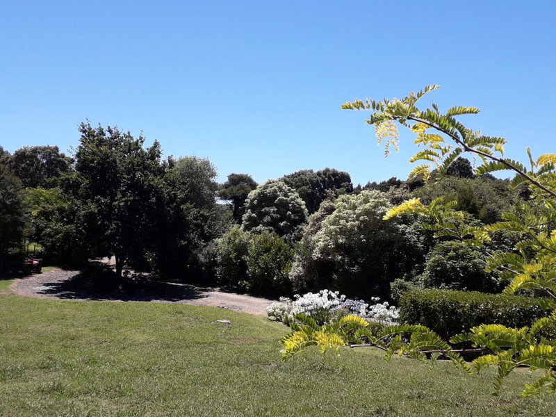 Kuaotunu's Peebles Cottage, Kuaotunu, New Zealand