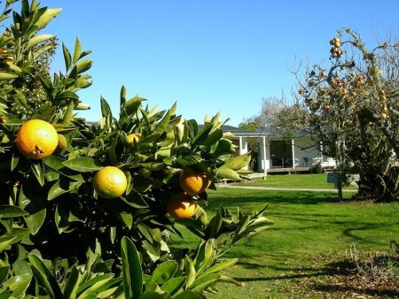 The White Elephant Accommodation - Hostel, Motueka, New Zealand