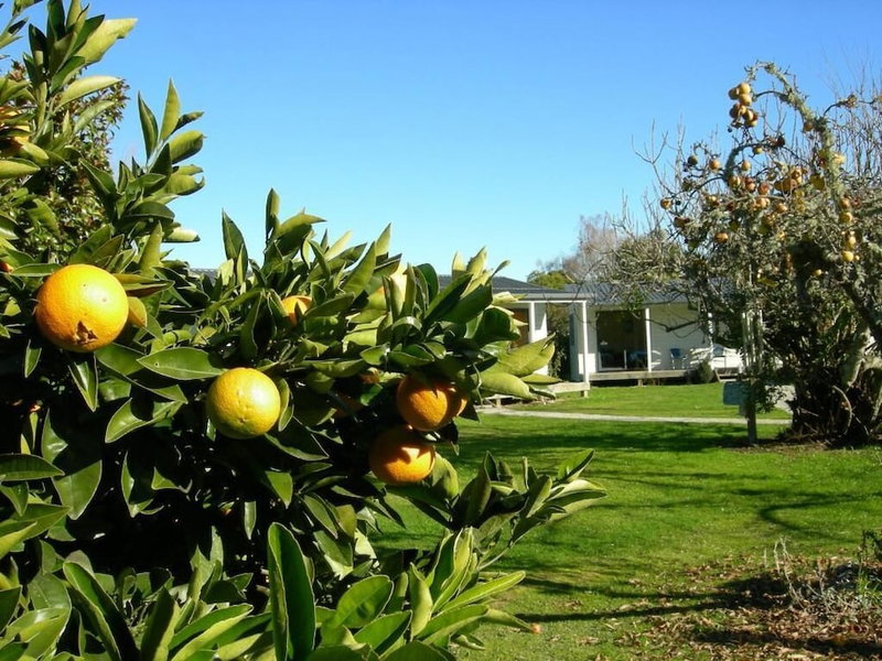 The White Elephant Accommodation - Hostel, Motueka, New Zealand