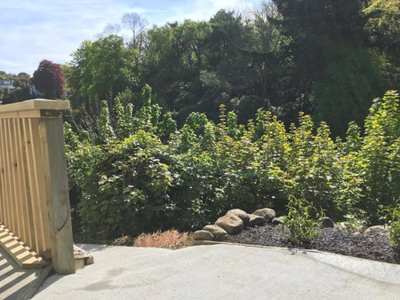 Sycamore Villa, 2 bedroom apartment, Dunedin, New Zealand