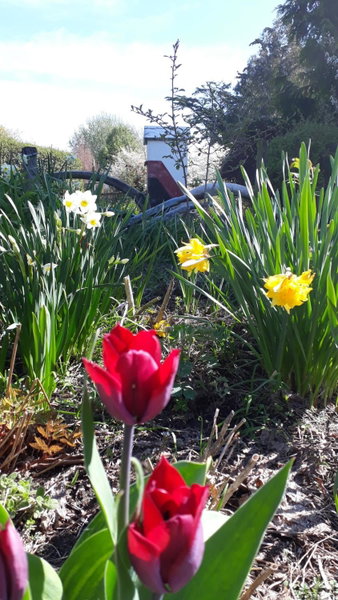 Folster Gardens Bed and Breakfast, Invercargill, New Zealand